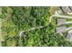 Lush greenery surrounds homes, offering privacy and a natural setting, perfect for peaceful living at 12387 Eastpointe Dr, Dade City, FL 33525