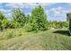 Spacious backyard featuring lush green grass and mature trees, perfect for outdoor activities and relaxation at 12387 Eastpointe Dr, Dade City, FL 33525