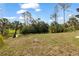Spacious backyard with lush greenery, offering a serene and private outdoor space at 2551 Alhaven Ter, North Port, FL 34286