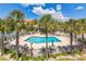 Aerial view of outdoor swimming pool with palm trees and lounge chairs at 10764 70Th Ave # 3305, Seminole, FL 33772