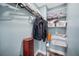 Walk-in closet with organized shelving at 8704 Bay Crest Ln, Tampa, FL 33615
