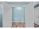 An empty laundry room featuring blue walls and light wood floors as seen through a double door entrance at 8704 Bay Crest Ln, Tampa, FL 33615