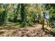 View of the spacious backyard, surrounded by mature trees and plenty of greenery at 2902 Little Rd, Valrico, FL 33596
