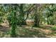 Lush backyard with mature trees offering privacy and shade at 2902 Little Rd, Valrico, FL 33596