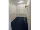Spacious walk-in closet with wire shelving for ample storage at 4435 Tevalo Dr, Valrico, FL 33596