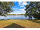 Beautiful lake view from the grassy lawn, framed by mature trees at 12511 Lake Vista Dr, Gibsonton, FL 33534