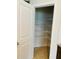 Walk-in pantry with shelving at 29307 Meadowcroft Ave, Wesley Chapel, FL 33544