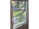 A window view to the front yard of the property at 8306 N Orleans Ave, Tampa, FL 33604