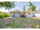 View of backyard with trees and plants that surrounds the house at 4621 25Th S Ave, St Petersburg, FL 33711