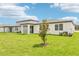 Spacious backyard with lush green grass and a well-maintained lawn, with patio at 1752 Brekey Way, Zephyrhills, FL 33541