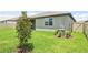 Well-maintained backyard with green lawn, young tree, privacy fence and partial view of home's exterior at 1787 Draughton Dr, Zephyrhills, FL 33541