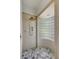 Modern shower with glass block window and hexagonal tile floor at 20003 Holly Lake Pl, Lutz, FL 33558