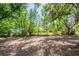 Spacious, shaded backyard perfect for outdoor activities and relaxing at 1314 Larsen Ln, Tampa, FL 33619
