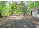 Expansive backyard with plenty of space and mature trees at 1314 Larsen Ln, Tampa, FL 33619
