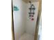 Bathroom with a stand up shower featuring a sleek shower head and built in shelving at 11317 Village Brook Dr, Riverview, FL 33579