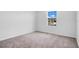 A bright bedroom features plush carpet flooring and a window view of the outdoors at 3504 Kearsney Abbey Cir, Dover, FL 33527