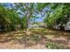Expansive backyard with mature trees and privacy fencing providing an outdoor sanctuary at 912 Magnolia Dr, Clearwater, FL 33756