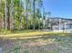 Large backyard with pool at 21940 Dupree Dr, Land O Lakes, FL 34639