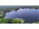 Picturesque aerial view of the serene lake, promising a tranquil and scenic waterfront living experience at 21940 Dupree Dr, Land O Lakes, FL 34639