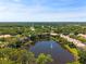 Aerial view of the community featuring houses, a lake, and many trees at 1171 Clays Trl, Oldsmar, FL 34677