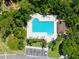 An aerial view of the community pool at 1171 Clays Trl, Oldsmar, FL 34677