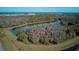 Aerial view of a tranquil pond enveloped by vibrant trees within the community at 1570 Hubbell Rd, Wesley Chapel, FL 33543