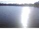 Scenic view of the calm lake in the neighborhood at 2011 N 61St St, Tampa, FL 33619