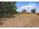 Large backyard with well established tree cover, and plenty of space at 2202 Sparkman Rd, Plant City, FL 33566