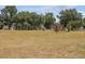 Sprawling backyard with mature trees and a playhouse for the  at 2202 Sparkman Rd, Plant City, FL 33566