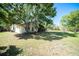 Expansive backyard showcasing mature trees, lush lawn, and the home's exterior at 3419 Pleasant Lake Dr, Tampa, FL 33618