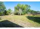 Large grassy backyard enclosed by a wooden fence offers a private outdoor space at 3419 Pleasant Lake Dr, Tampa, FL 33618