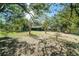 Expansive backyard with mature trees providing shade and privacy, perfect for outdoor activities at 3419 Pleasant Lake Dr, Tampa, FL 33618