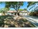 Charming single-story home featuring a well-maintained lawn and mature trees offering plenty of shade at 3419 Pleasant Lake Dr, Tampa, FL 33618