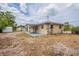 The backyard features a covered patio and storage shed at 1409 N Garden Ave, Clearwater, FL 33755