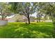 Large backyard with lush lawn, mature trees, pool area, and play set provides a tranquil outdoor space at 2818 Mossy Timber Trl, Valrico, FL 33596
