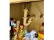 Pipes under a sink are visible with various household cleaning and hygiene products at 30442 Lettingwell Cir, Wesley Chapel, FL 33543
