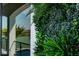 Close-up of vibrant living green wall on the side of a home's outdoor patio at 3310 Sunset N Dr, St Petersburg, FL 33710