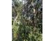Lush greenery with trees and foliage create a natural and tranquil ambiance for the property at 5404 Carso Ter, North Port, FL 34286