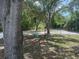 Spacious backyard, partially shaded with mature trees, ideal for outdoor activities and relaxation at 5404 Carso Ter, North Port, FL 34286