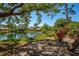 Scenic pond view from the backyard, surrounded by lush trees and greenery, creating a tranquil setting at 8202 Shadow Pine Way, Sarasota, FL 34238