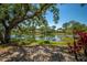 Beautiful pond view from the backyard, framed by mature trees and vibrant foliage at 8202 Shadow Pine Way, Sarasota, FL 34238