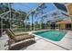 A serene screened pool is surrounded by lush landscaping, creating a private oasis at 8202 Shadow Pine Way, Sarasota, FL 34238