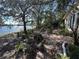 Scenic backyard featuring a brick patio overlooking a tranquil lake view surrounded by mature trees at 560 7Th S St, Safety Harbor, FL 34695