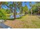 Scenic view of a tranquil pond surrounded by lush greenery and trees at 5703 New Paris Way, Ellenton, FL 34222
