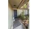 Front door to house with overgrown landscaping and walkway at 8731 N 26Th St, Tampa, FL 33604