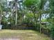 Large backyard featuring a chain link fence and mature trees, offering a private outdoor space at 4213 Temple Heights Rd, Tampa, FL 33617