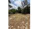 Large backyard with sandy soil and sparse grass, surrounded by lush trees at 4617 John Bell Jr Dr, Tampa, FL 33610