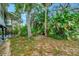 Backyard of the home with tropical foliage and access to the canal at 9503 Alice Ln, Riverview, FL 33578