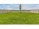 View of backyard, with a tree and a white privacy fence at 5289 Fiddle Fig Ave, Wimauma, FL 33598