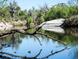Scenic water view of the reflections of the surrounding flora at 2185 Sulstone Dr, Punta Gorda, FL 33983